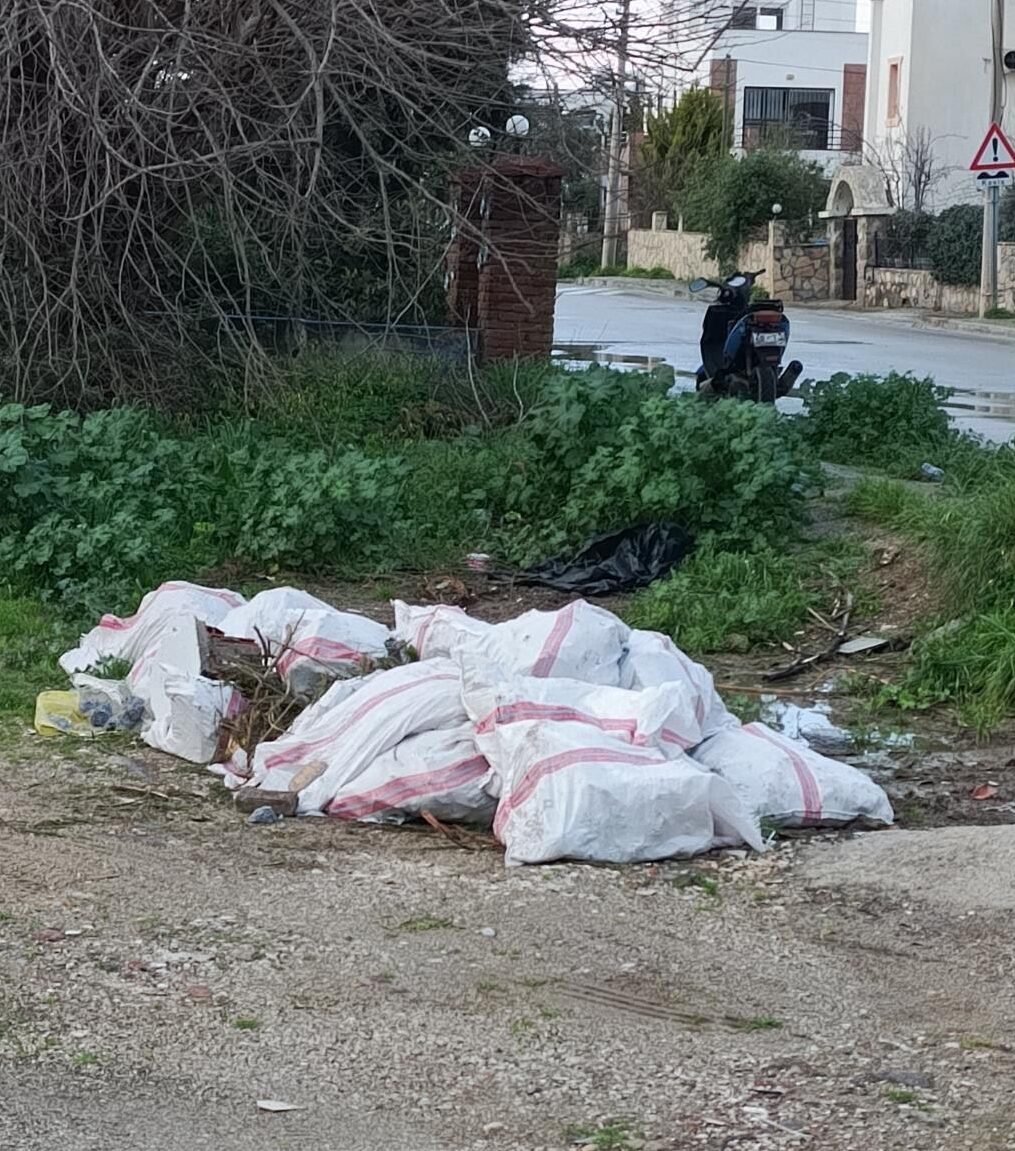 MUĞLA (AA) – Muğla'nın Bodrum ilçesinde boş araziye moloz ve