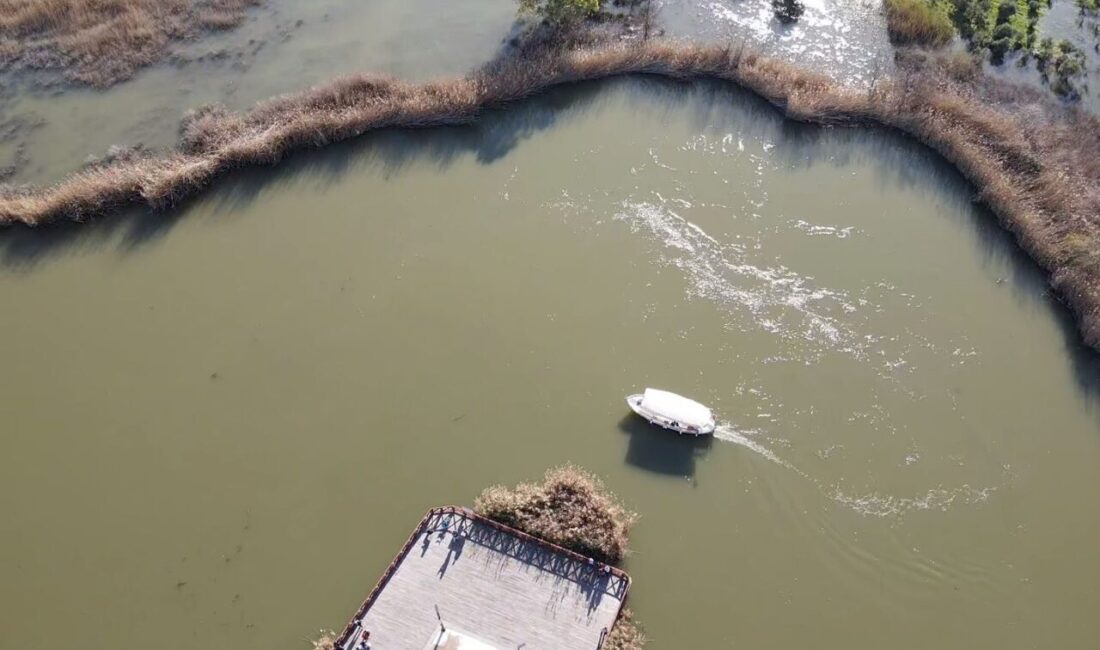 MUĞLA (AA) – Muğla'nın Ortaca ilçesinde, 5 gündür etkili olan