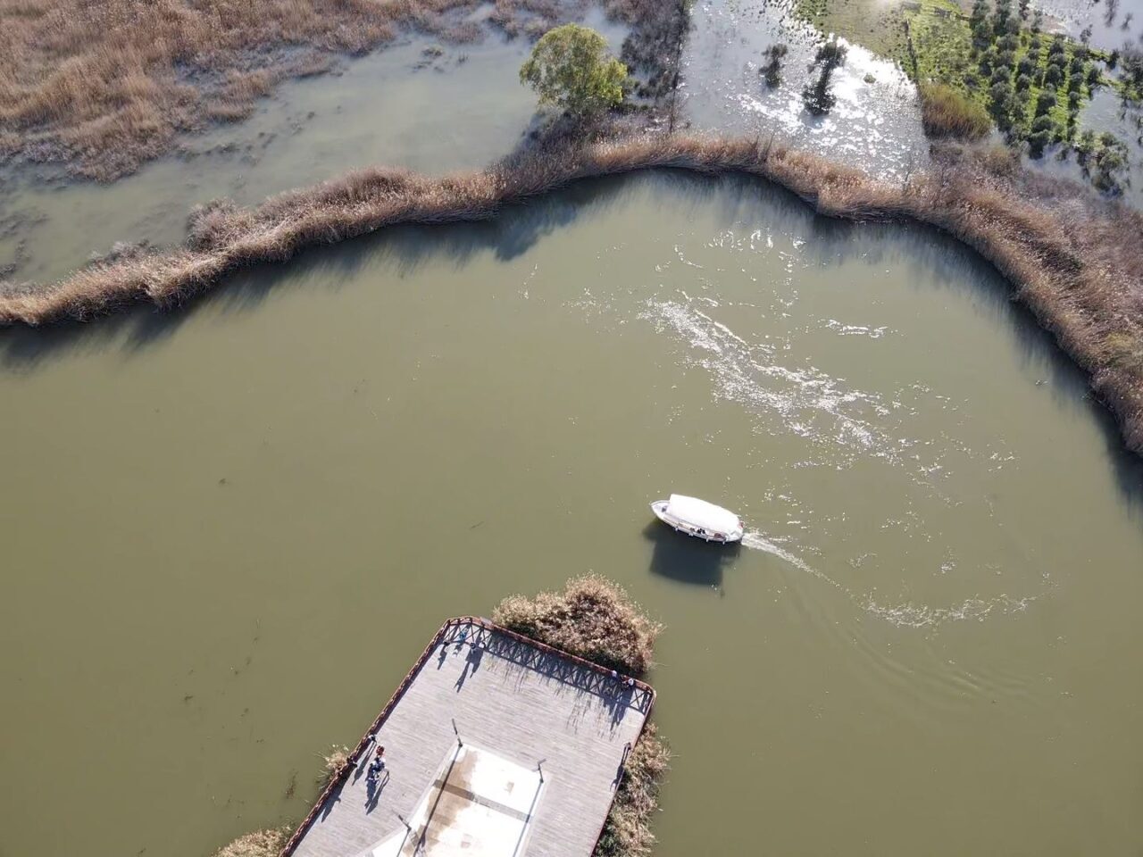 MUĞLA (AA) – Muğla'nın Ortaca ilçesinde, 5 gündür etkili olan