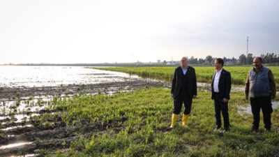 ADANA (AA) – Türkiye Ziraat Odaları Birliği (TZOB) Genel Başkanı