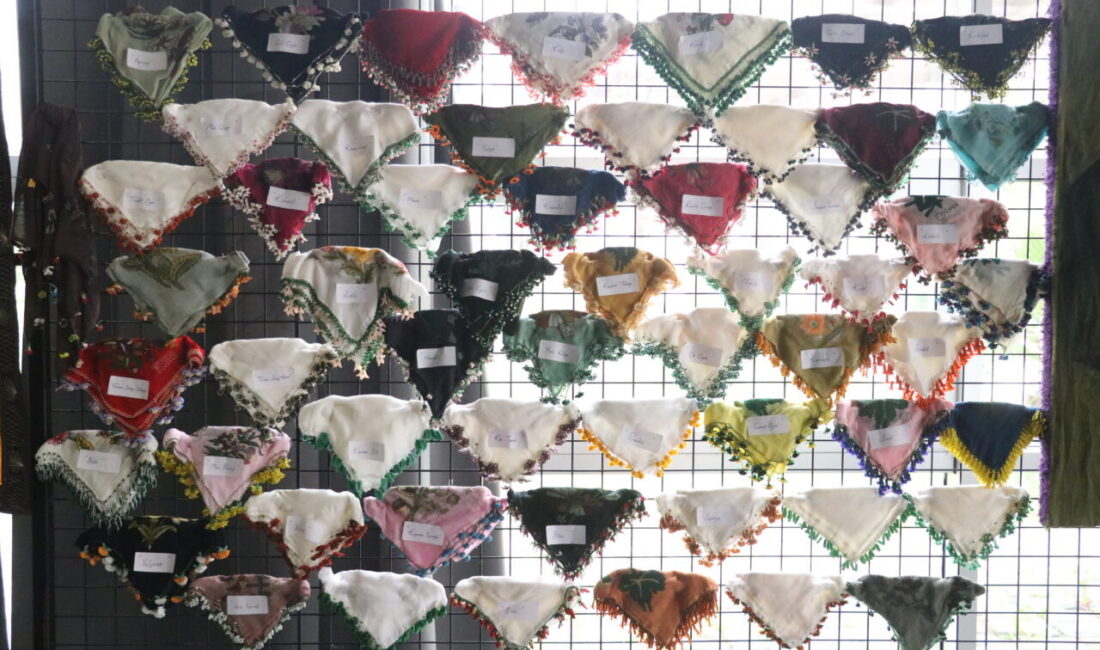 ADANA (AA) – Adana’da bu yıl 14’üncüsü düzenlenen Uluslararası Portakal