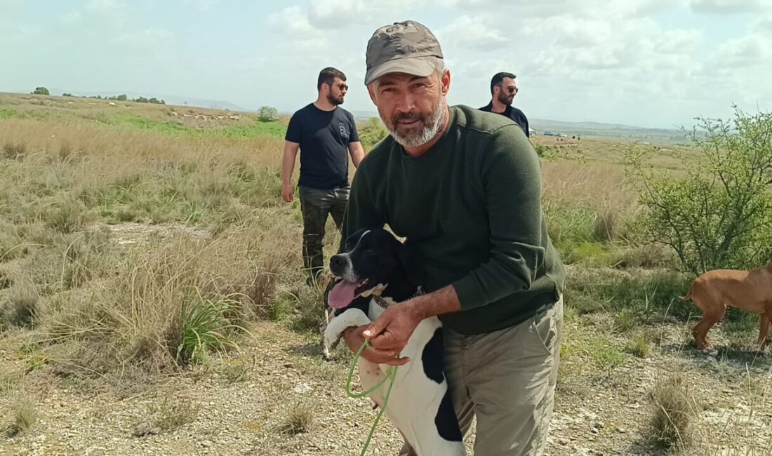 ADANA (AA) – Adana'nın Kozan ilçesinde "Avcı Köpeği ve Irk