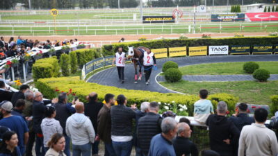 ADANA (AA) – Adana'da 14. Uluslararası Portakal Çiçeği Karnavalı kapsamında