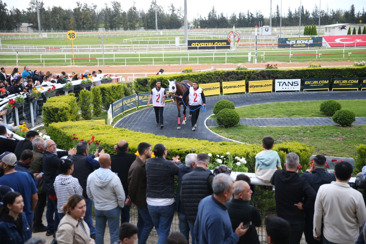 ADANA (AA) – Adana'da 14. Uluslararası Portakal Çiçeği Karnavalı kapsamında