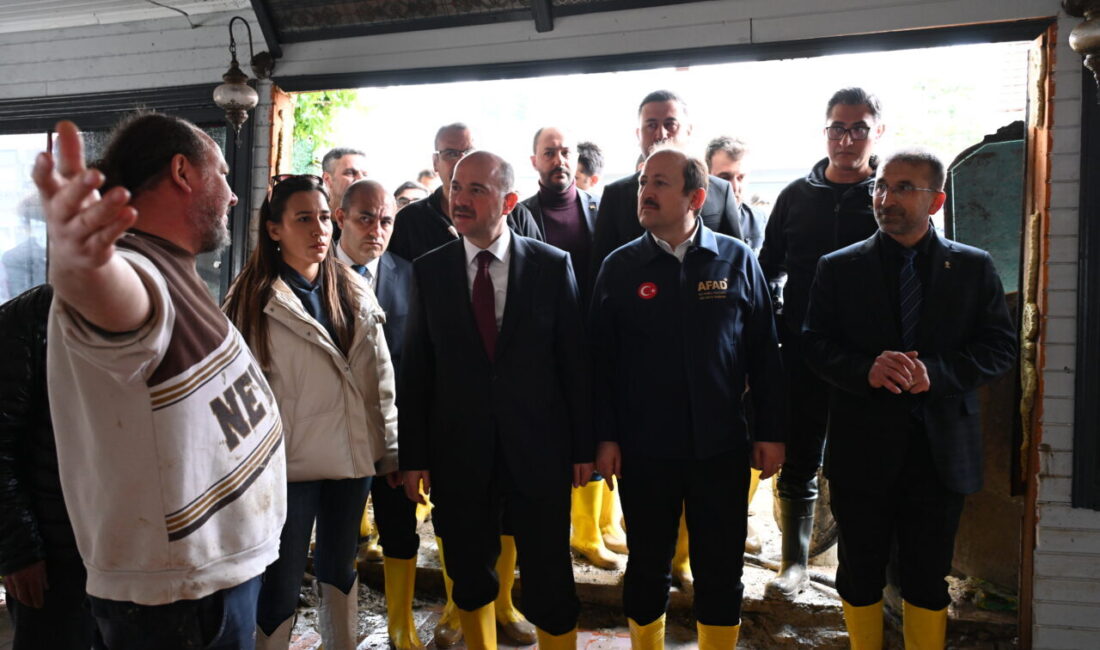 OSMANİYE (AA) – Afet ve Acil Durum Yönetimi (AFAD) Başkanı