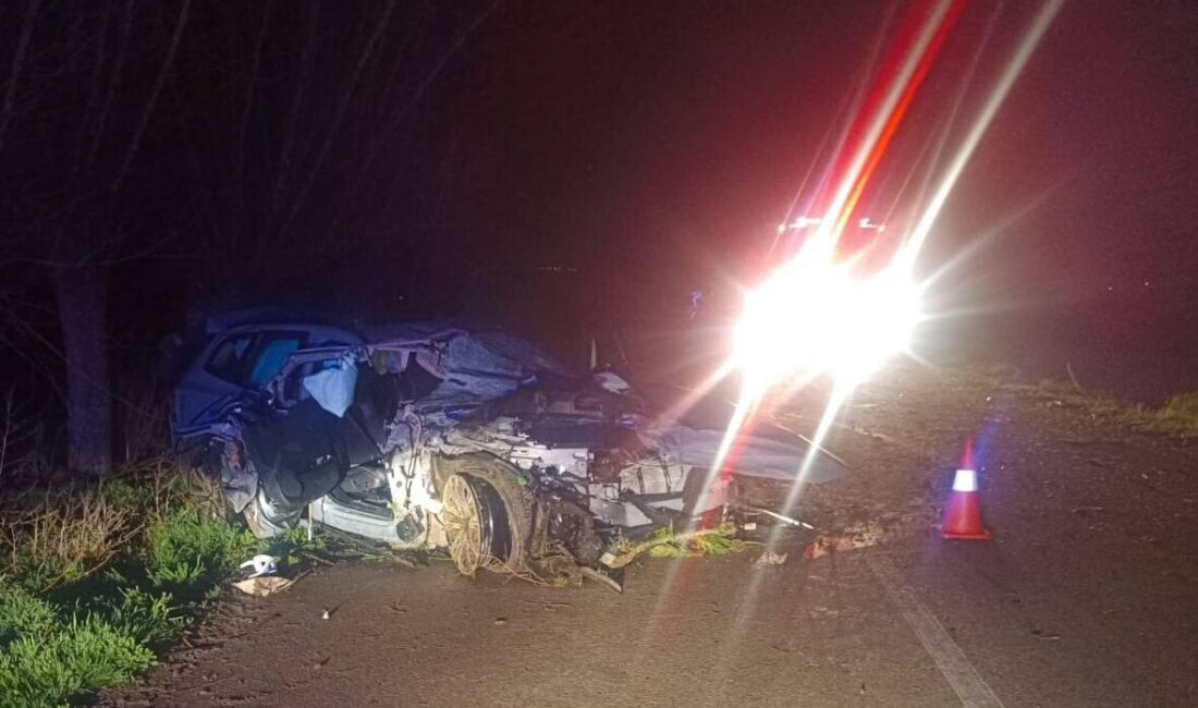 AFYONKARAHİSAR (AA) – Afyonkarahisar'da otomobilin ağaca çarpması sonucu 1 kişi