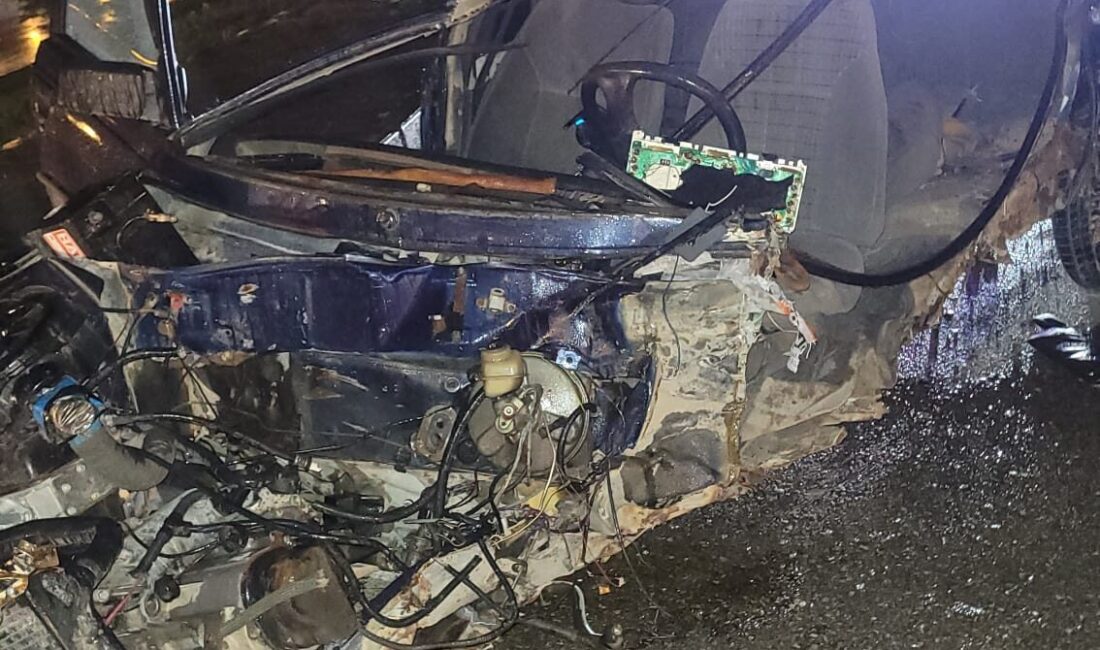 AFYONKARAHİSAR (AA) – Afyonkarahisar'da bariyere çarpan otomobilin sürücüsü hayatını kaybetti.