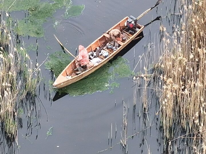 AFYONKARAHİSAR (AA) – Afyonkarahisar'ın Bolvadin ilçesindeki Eber Gölü'nde kaçak avcılık