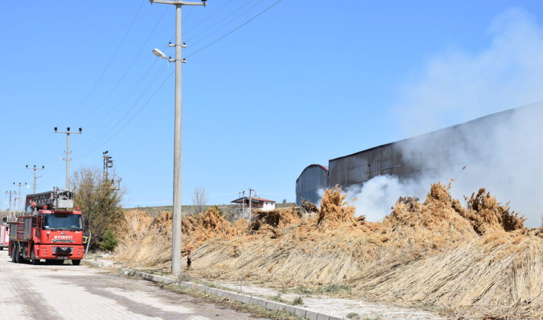 AFYONKARAHİSAR (AA) – Afyonkarahisar'ın Bolvadin ilçesinde kamış toplama merkezinin depo