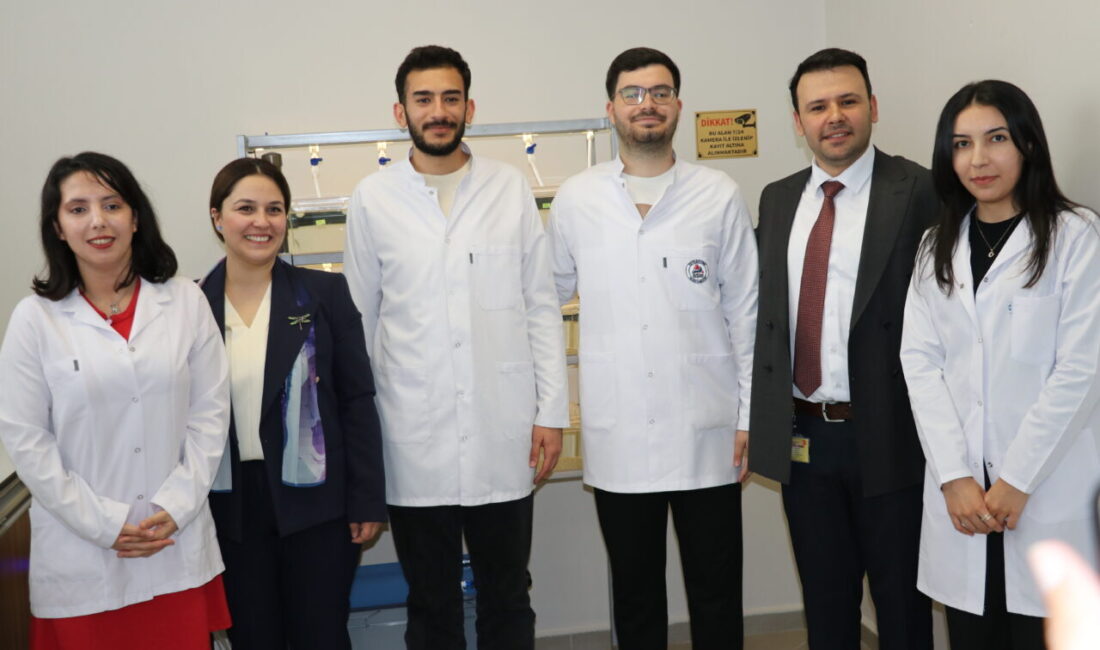 AĞRI (AA) – Ağrı İbrahim Çeçen Üniversitesi Tıp Fakültesi doktor