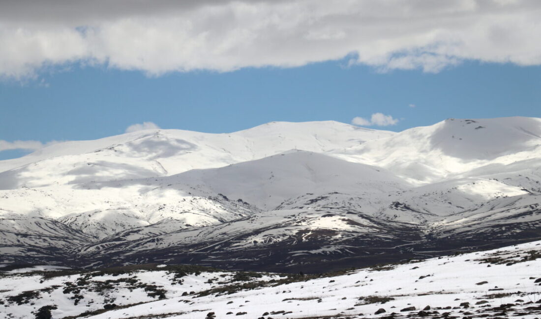 AĞRI/KARS (AA) – Ağrı ve Kars'ta yüksek kesimler karla kaplandı.