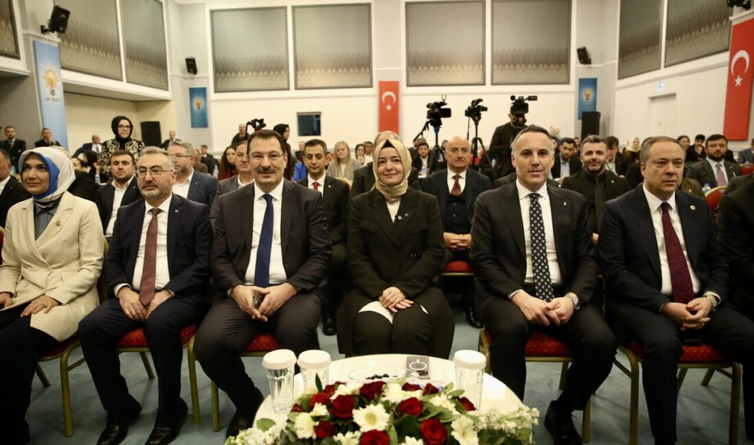 - AK Parti Genel Başkan Yardımcısı ve Sosyal Politikalar Başkanı