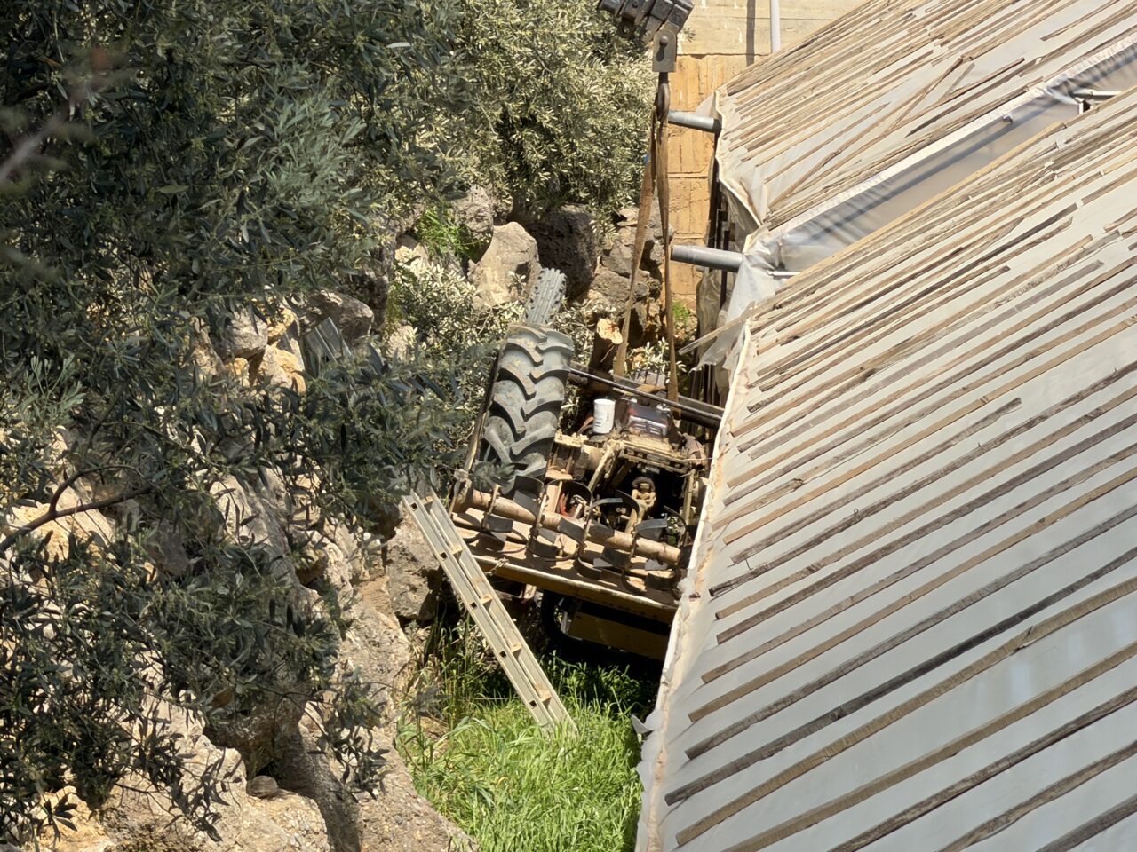 ANTALYA (AA) – Antalya'nın Alanya ilçesinde traktörün bahçeye devrilmesi sonucu