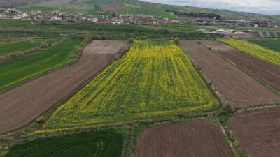 AMASYA (AA) – Türkiye'nin önemli tarım merkezlerinden Amasya'nın Suluova ilçesinde
