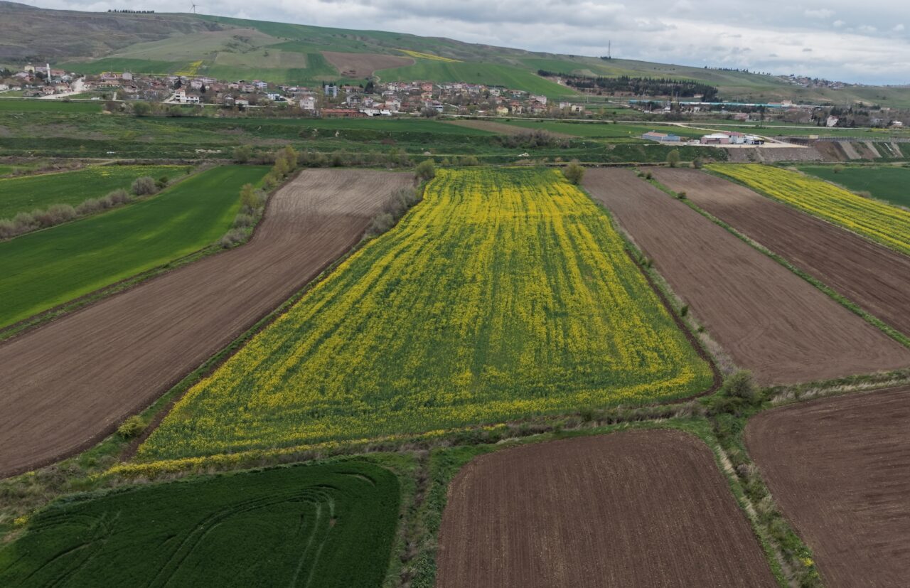AMASYA (AA) – Türkiye'nin önemli tarım merkezlerinden Amasya'nın Suluova ilçesinde