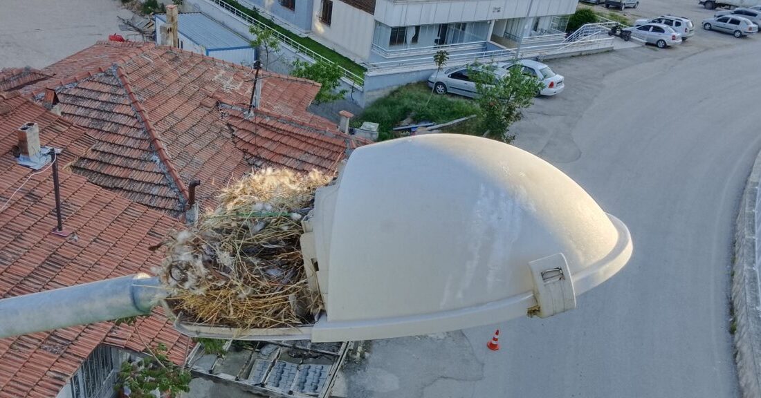 AMASYA (AA) – Amasya'da Yeşilırmak Elektrik Dağıtım AŞ (YEDAŞ) ekipleri