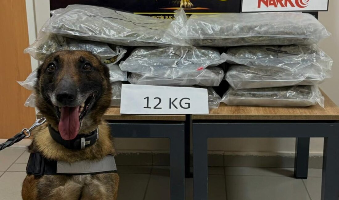 - Bedensel engelli sürücü gözaltına alındı