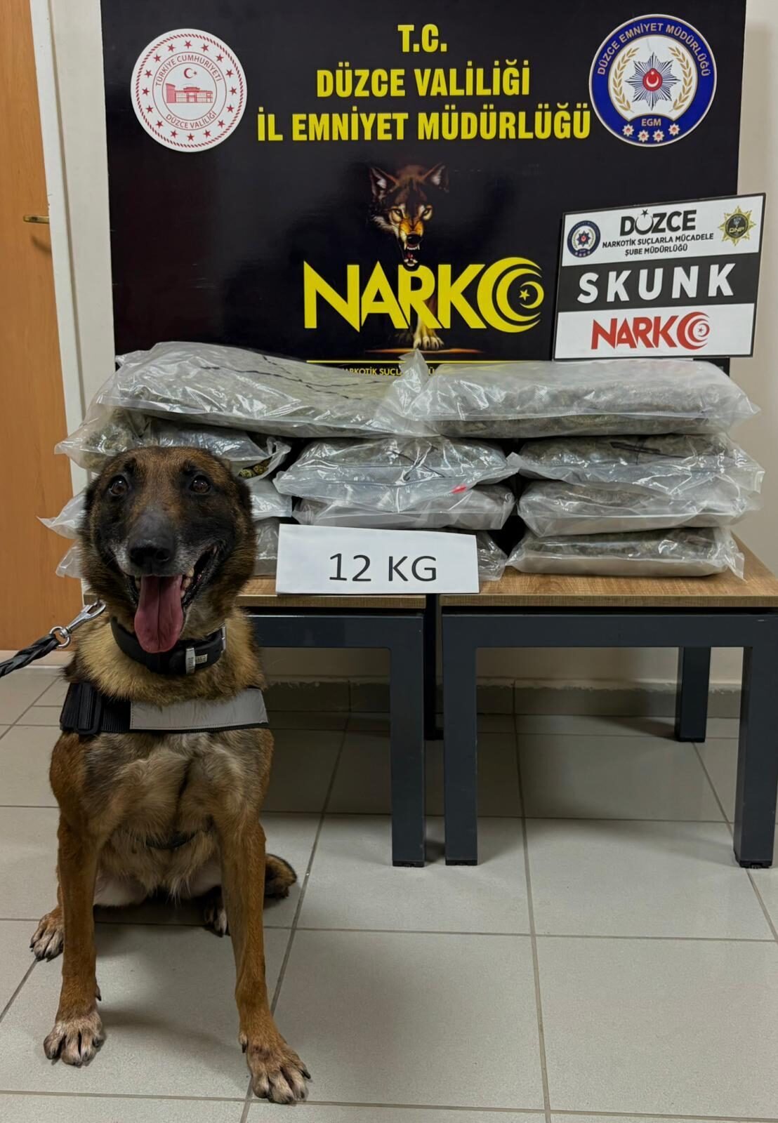 - Bedensel engelli sürücü gözaltına alındı