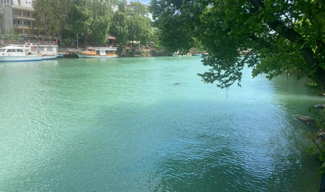 ANTALYA (AA) – Antalya'nın Manavgat ilçesinde 10 gündür kayıp olarak