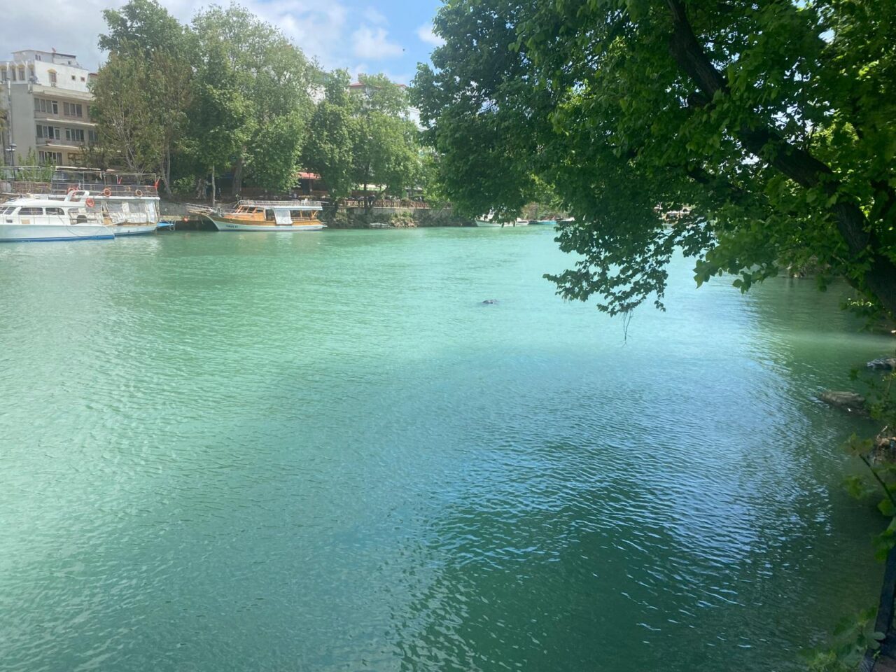 ANTALYA (AA) – Antalya'nın Manavgat ilçesinde 10 gündür kayıp olarak