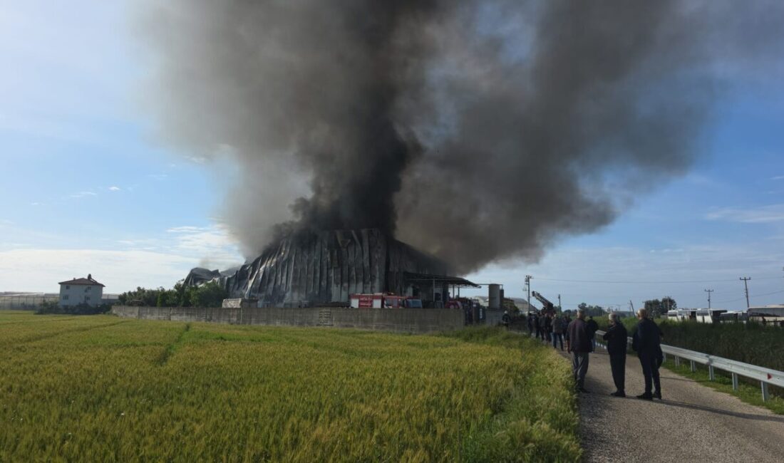 ANTALYA (AA) – Antalya'nın Manavgat ilçesinde patates cipsi üretim tesisinde