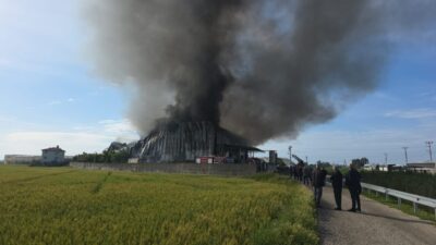 ANTALYA (AA) – Antalya'nın Manavgat ilçesinde patates cipsi üretim tesisinde