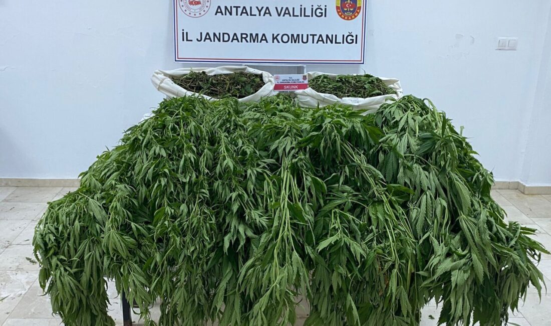 ANTALYA (AA) – Antalya'nın Serik ilçesinde düzenlenen uyuşturucu operasyonunda gözaltına