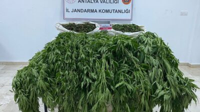 ANTALYA (AA) – Antalya'nın Serik ilçesinde düzenlenen uyuşturucu operasyonunda gözaltına