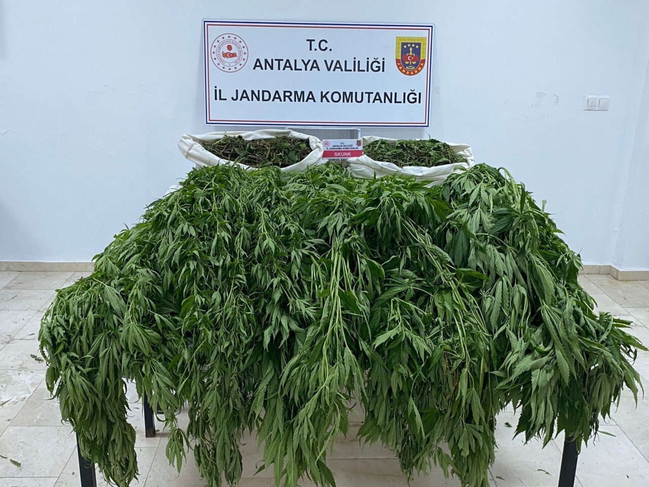ANTALYA (AA) – Antalya'nın Serik ilçesinde düzenlenen uyuşturucu operasyonunda gözaltına