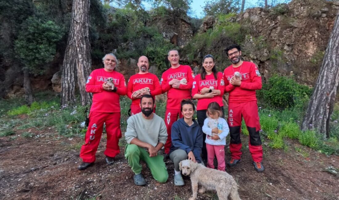 ANTALYA (AA) – Antalya'nın Kumluca ilçesinde kayalıklardaki yarığa düşen köpek