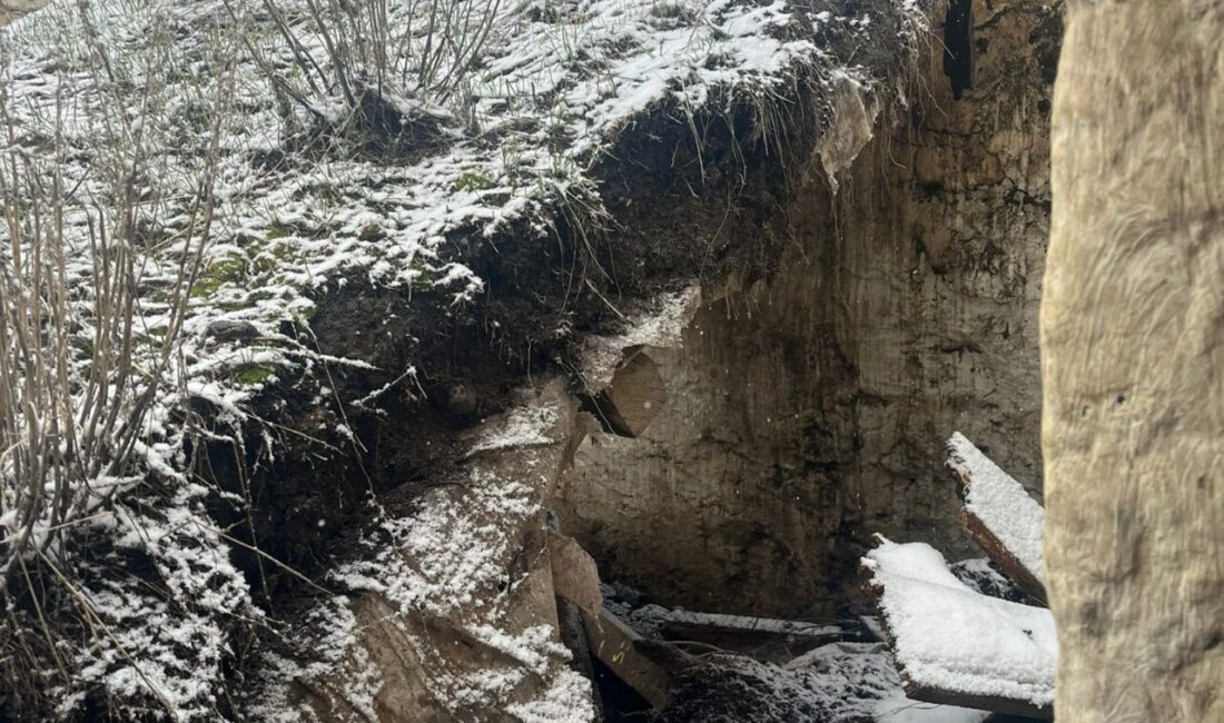 ARDAHAN (AA) – Ardahan'da kar nedeniyle bir ev ve ahırda