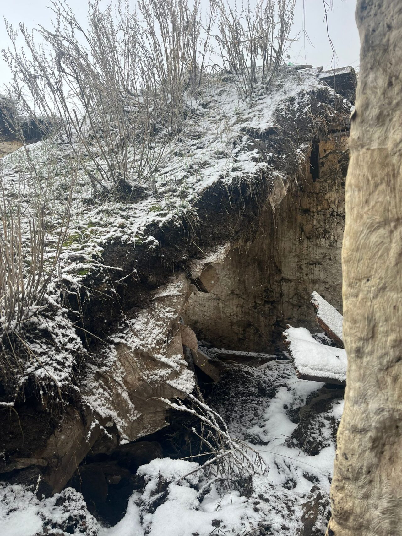 ARDAHAN (AA) – Ardahan'da kar nedeniyle bir ev ve ahırda