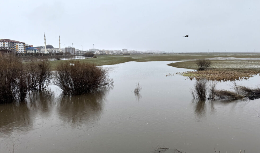 ARDAHAN (AA) – Ardahan'da etkili olan kar ve sağanak nedeniyle