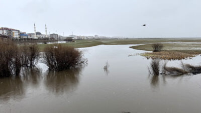 ARDAHAN (AA) – Ardahan'da etkili olan kar ve sağanak nedeniyle