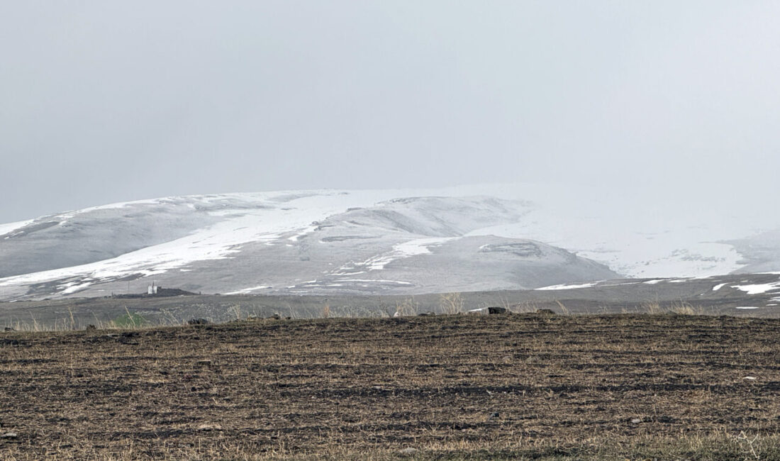 ARDAHAN (AA) – Ardahan'ın yüksek kesimlerinde kar etkili oldu. Kent
