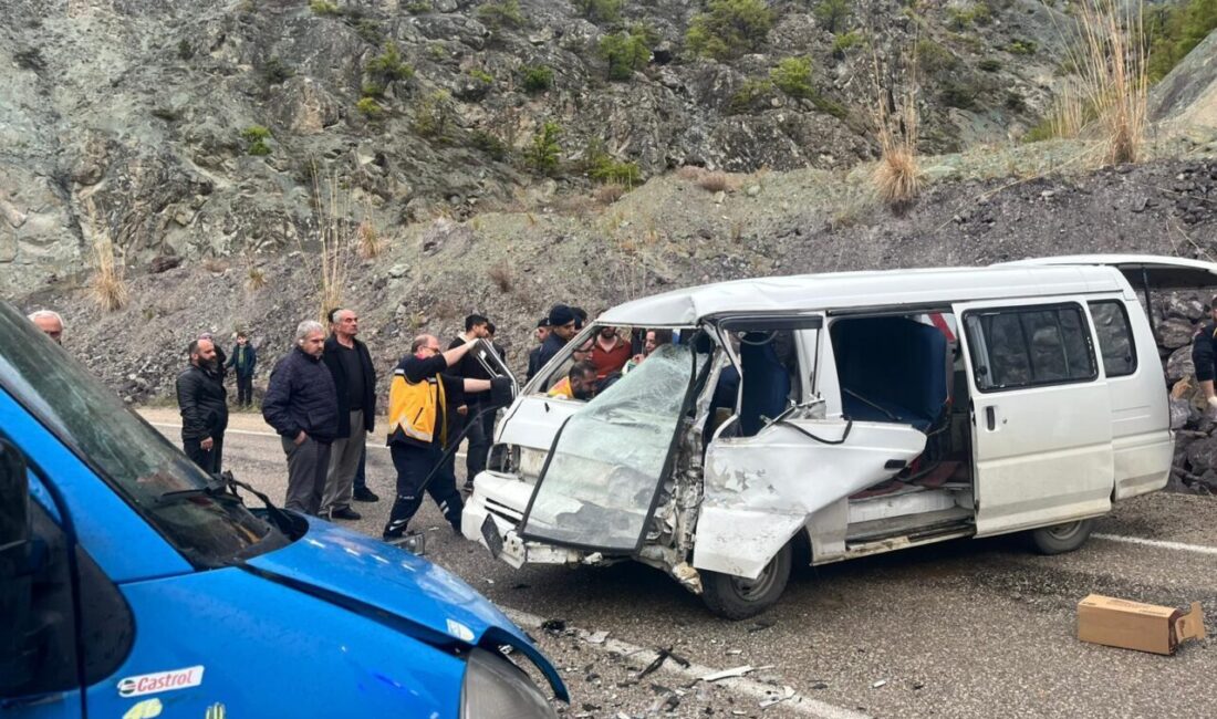 ARTVİN (AA) – Artvin'in Ardanuç ilçesinde panelvan ile kamyonetin çarpışması