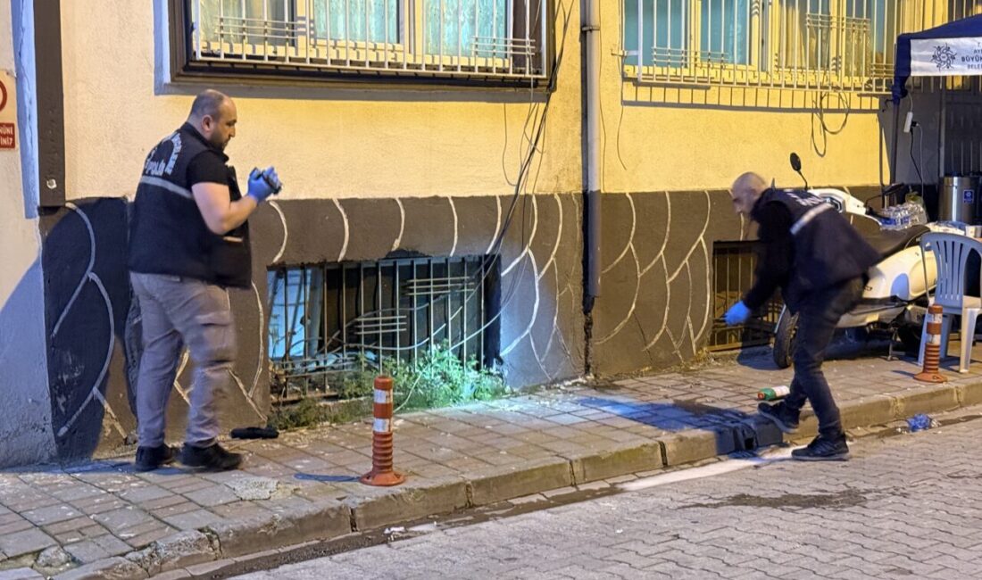 AYDIN (AA) – Aydın'ın Efeler ilçesinde bir apartmanın 5. katından