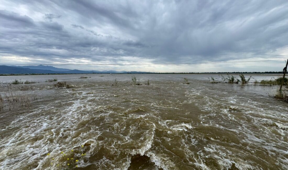 AYDIN (AA) – Aydın'ın Söke ve Koçarlı ilçelerinde Büyük Menderes