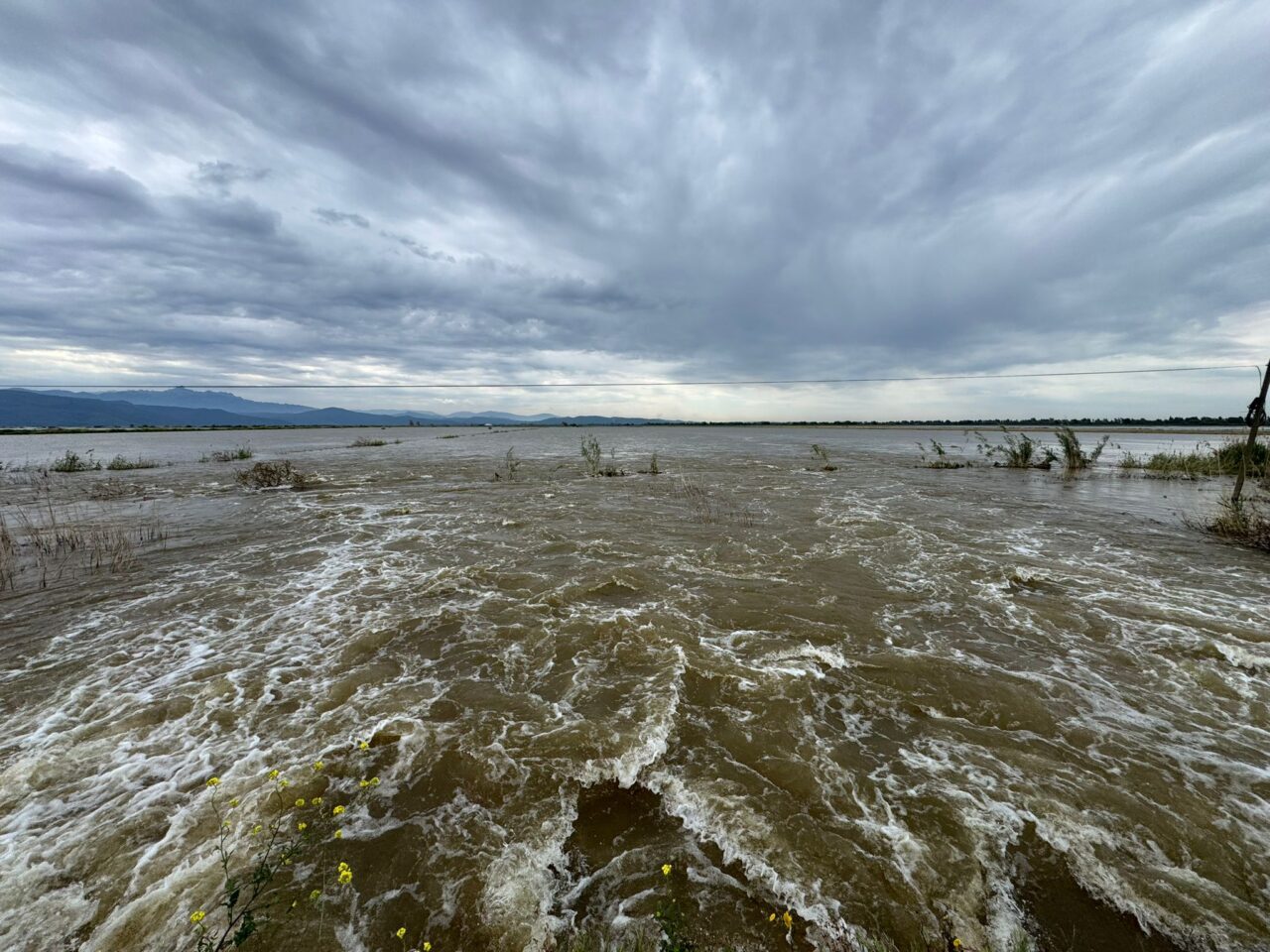 AYDIN (AA) – Aydın'ın Söke ve Koçarlı ilçelerinde Büyük Menderes