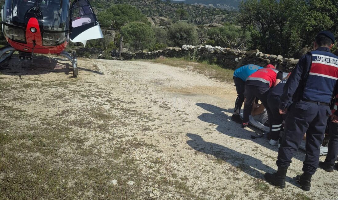 AYDIN (AA) – Aydın'ın Söke ilçesinde doğada yürüyüş yaparken rahatsızlanan