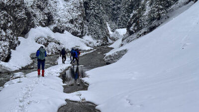 KASTAMONU (AA) – Türkiye'nin önemli kayak ve kış turizmi merkezlerinden