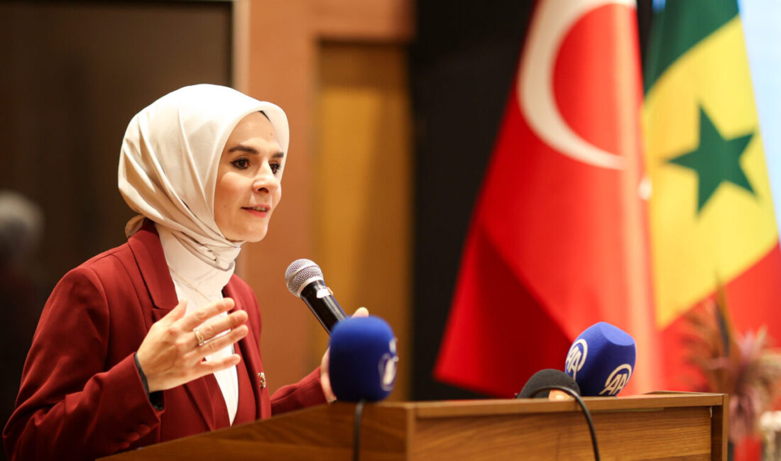 - “Türkiye olarak, Afrika ile ilişkilerimizi sadece ekonomik işbirliğiyle sınırlı