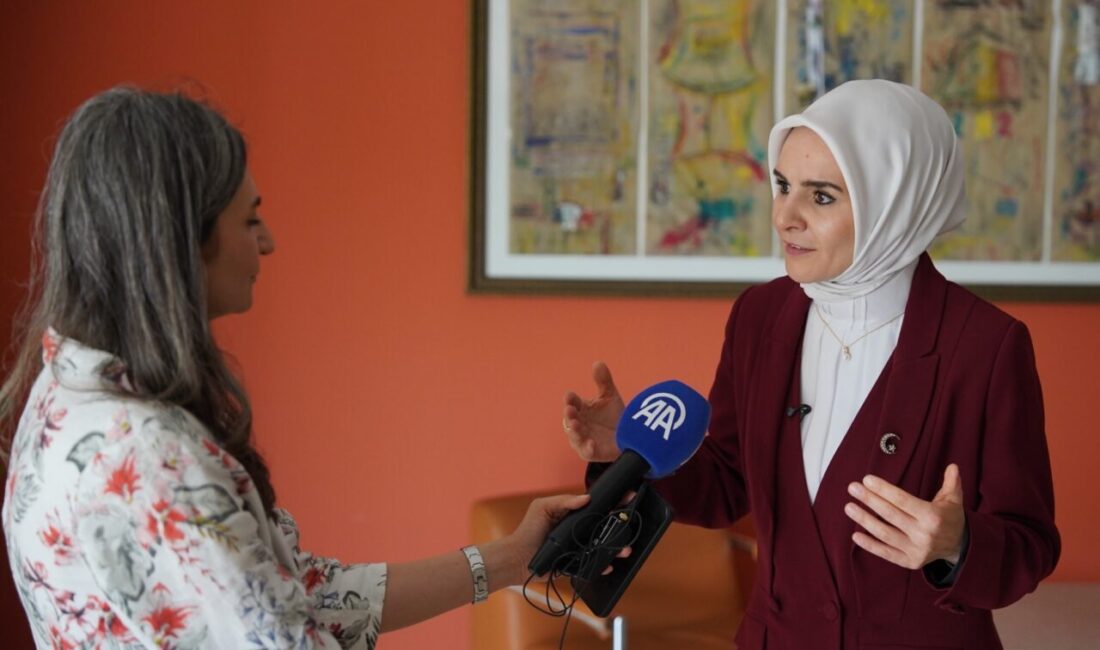 - “Sayın Cumhurbaşkanımızın talimatları doğrultusunda Karma Ekonomik Komisyonu Toplantılarımıza iştirak