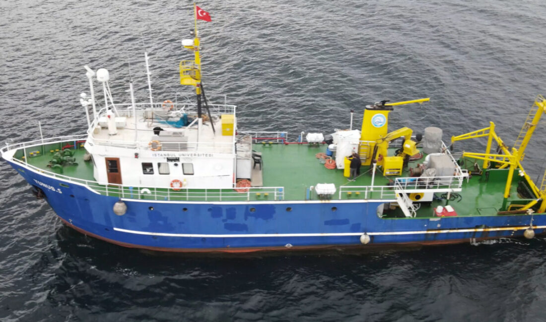 - "Denizlerin ormanı mercanları yeniden yaşamla buluşturuyor, doğayı mercanlarla onarıyoruz"