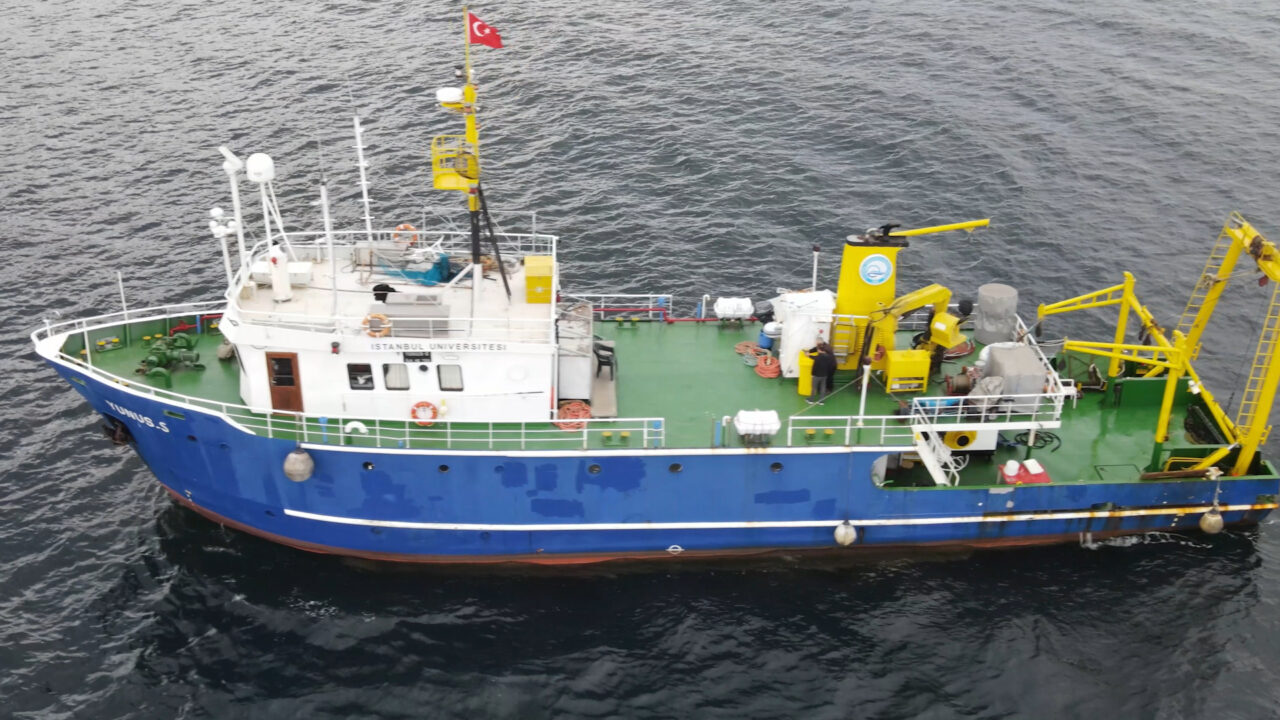 - "Denizlerin ormanı mercanları yeniden yaşamla buluşturuyor, doğayı mercanlarla onarıyoruz"