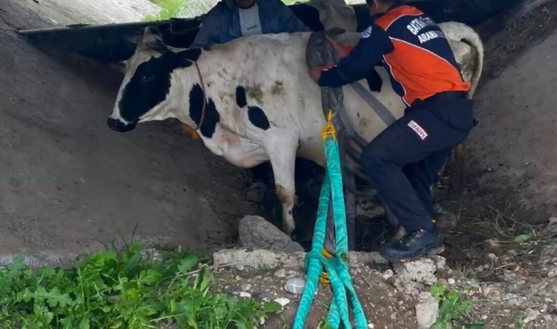 BATMAN (AA) – Batman'ın merkez Balpınar beldesinde sulama kanalında mahsur