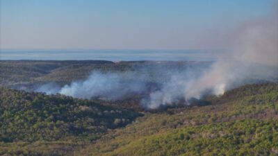 İSTANBUL (AA) – Beykoz'da, ormanlık alanda çıkan yangına itfaiye ekiplerince