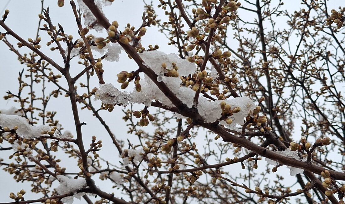 ANKARA (AA) – Ankara'nın Beypazarı ilçesinde sabaha karşı başlayan kar
