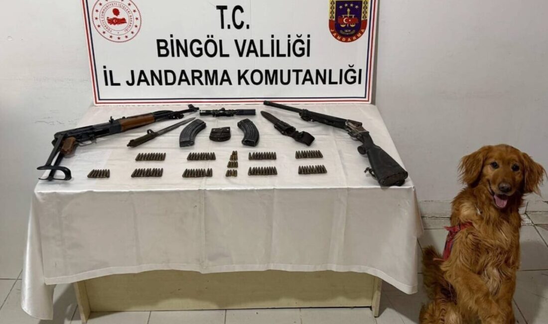 BİNGÖL (AA) – Bingöl'ün Karlıova ilçesi kırsalında bir evde silah