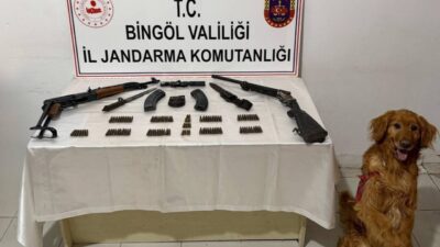BİNGÖL (AA) – Bingöl'ün Karlıova ilçesi kırsalında bir evde silah